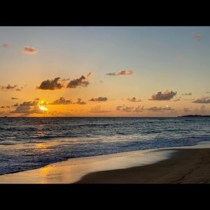 Meet your Posher, Joy